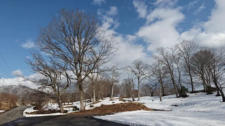 県北　高野町　冬景色